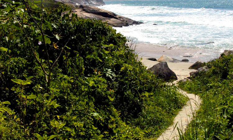 Caminhada por trilha a Praia de Ilheus